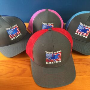 3 up 1 down nation mesh snapback cap