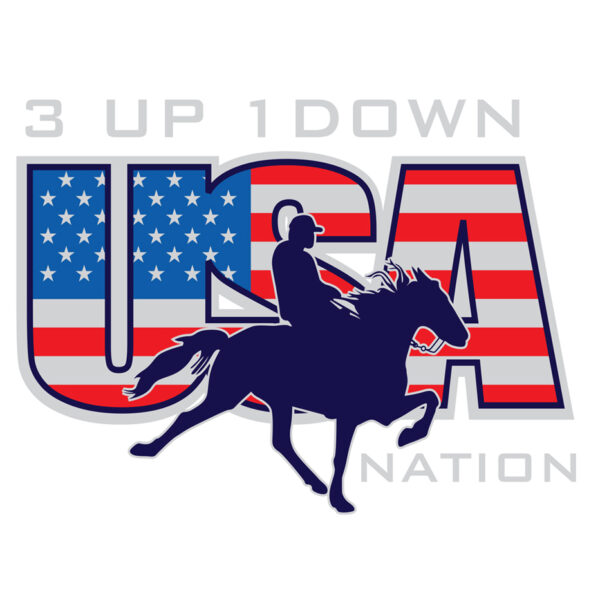 3 up 1 down USA decal